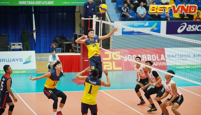 Cá độ bóng chuyền