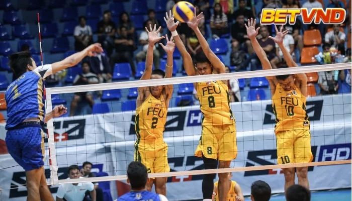 Hướng dẫn cá độ bóng chuyền