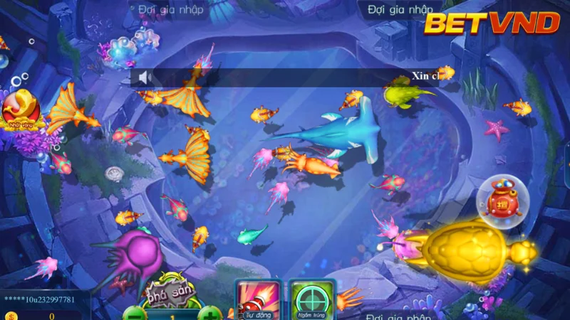 Luật Chơi Của Thợ Săn Cá BETVND