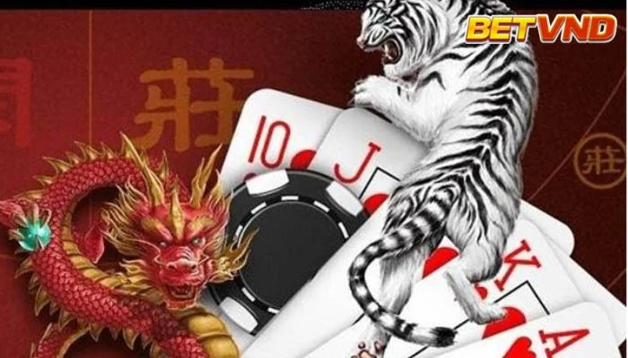 Hướng dẫn soi cầu rồng hổ