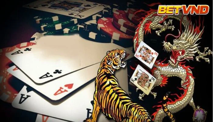 Soi cầu rồng hổ