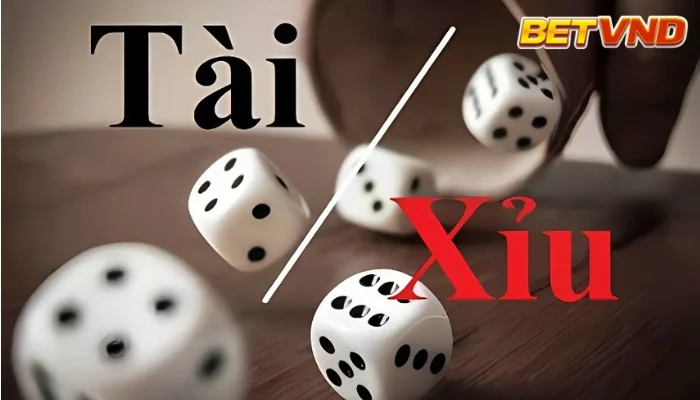 Cách Nghe Hột Tài Xỉu: 5 Bước Từ Lý Thuyết Đến Thực Hành