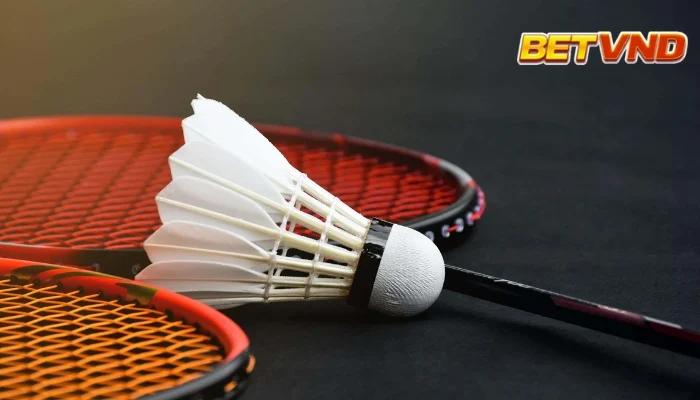 Cá Cược Cầu Lông: Thuật Ngữ, Kèo Cược Và Những Lưu Ý 2025