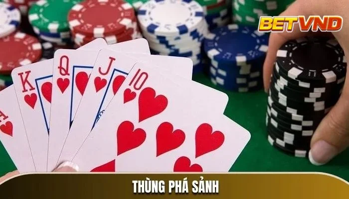 Thùng Phá Sảnh Là Gì? Dân Chơi Poker Luôn Ao Ước Bài Mạnh Này